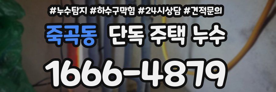 죽곡동 단독 주택 누수