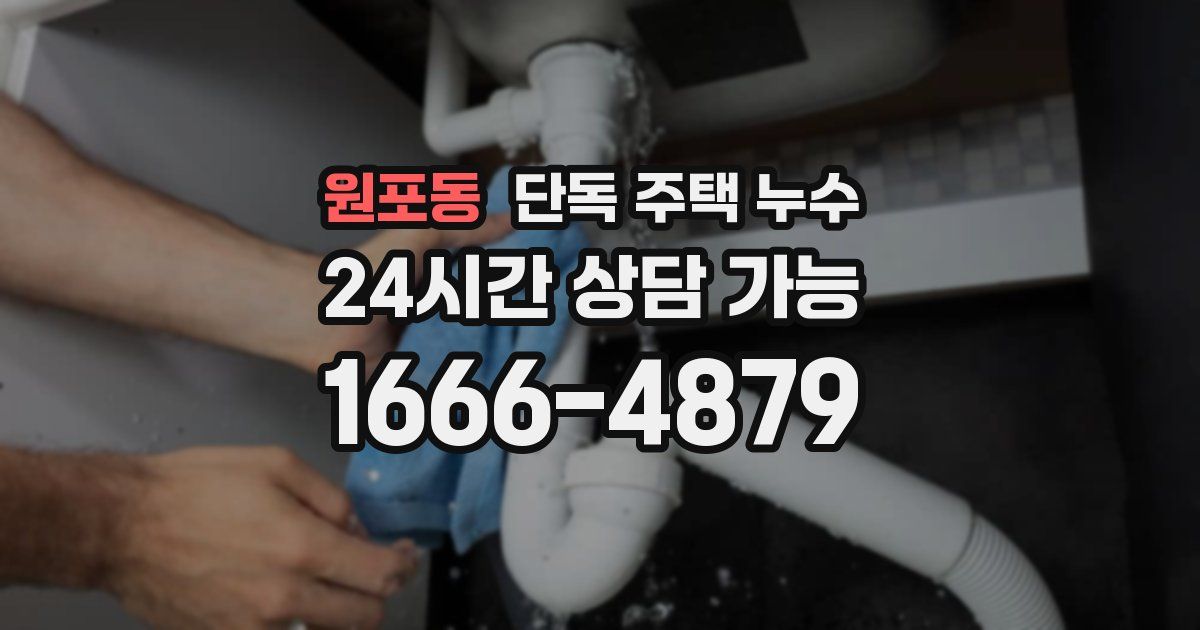 원포동 단독 주택 누수