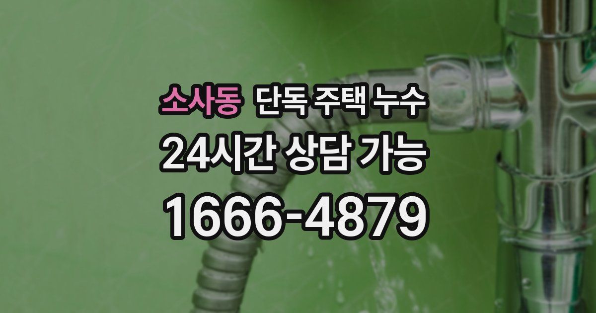 소사동 단독 주택 누수
