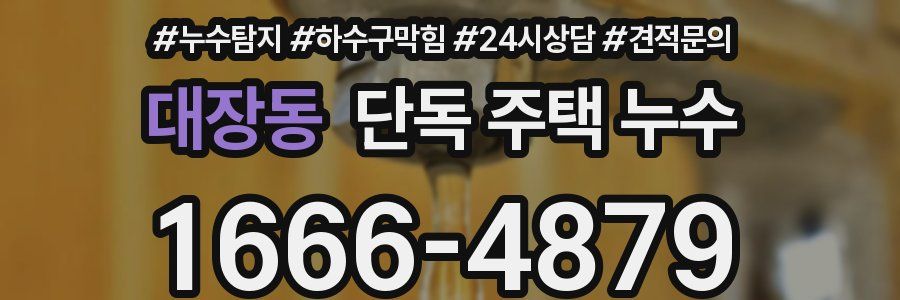 대장동 단독 주택 누수