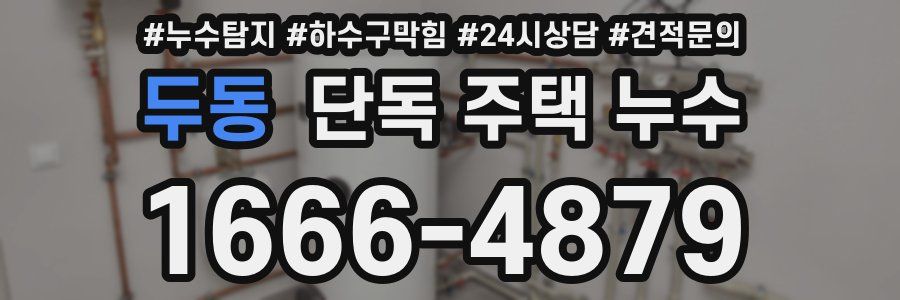 두동 단독 주택 누수