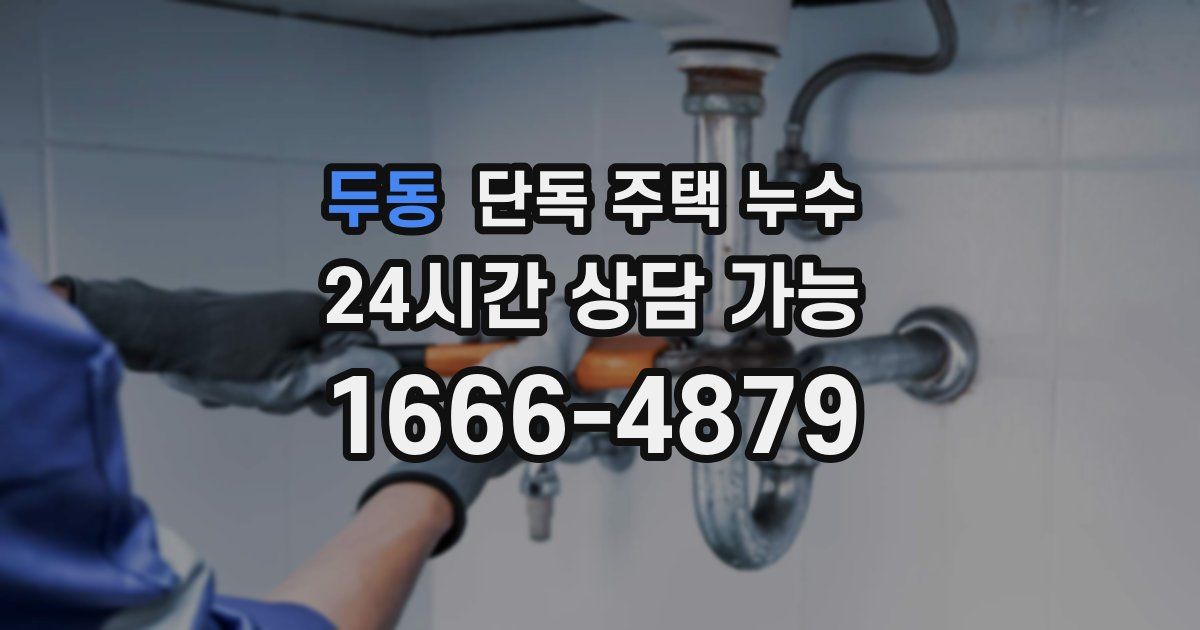 두동 단독 주택 누수