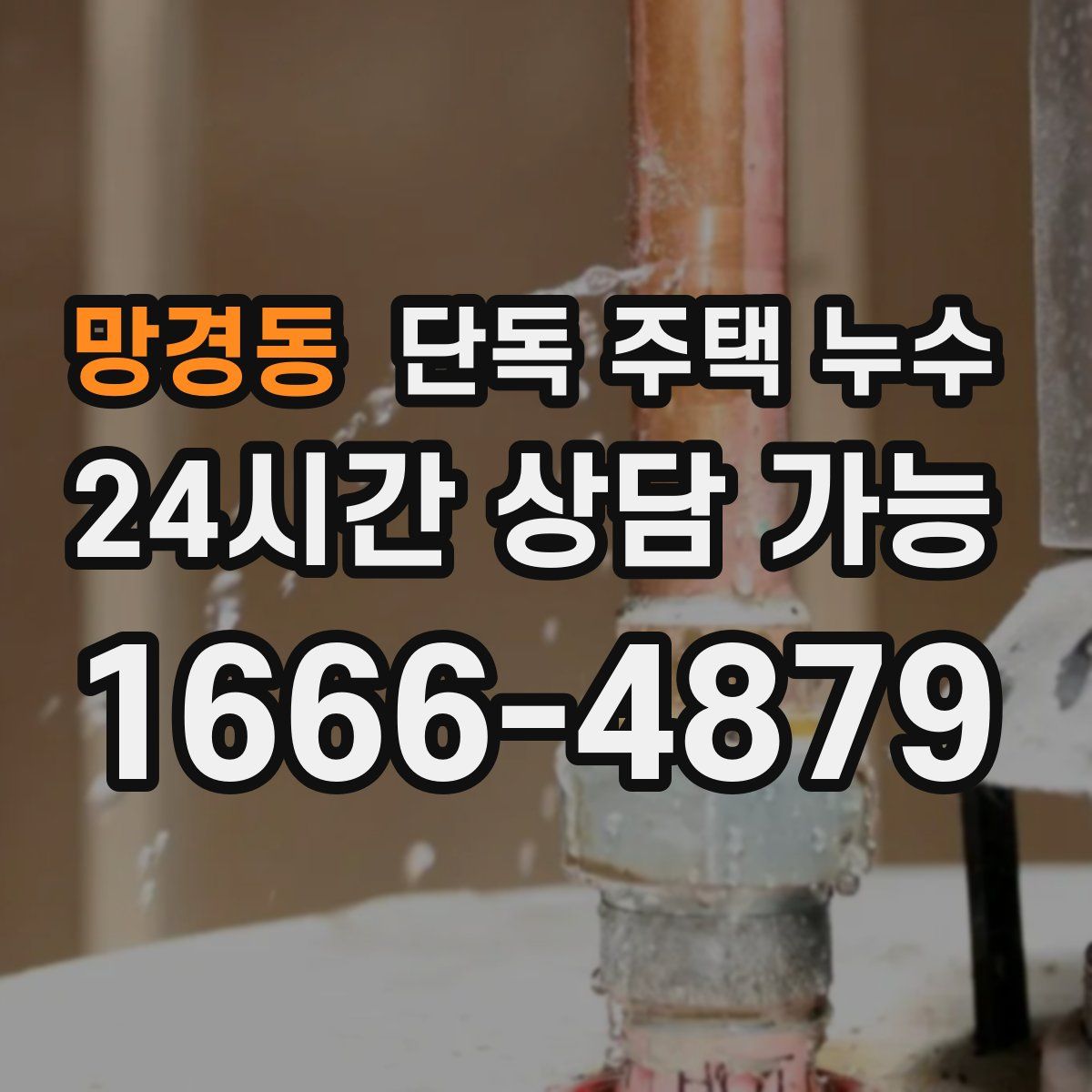 망경동 단독 주택 누수