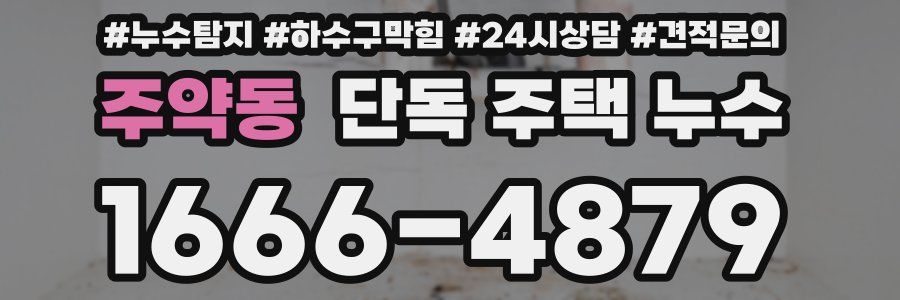 주약동 단독 주택 누수