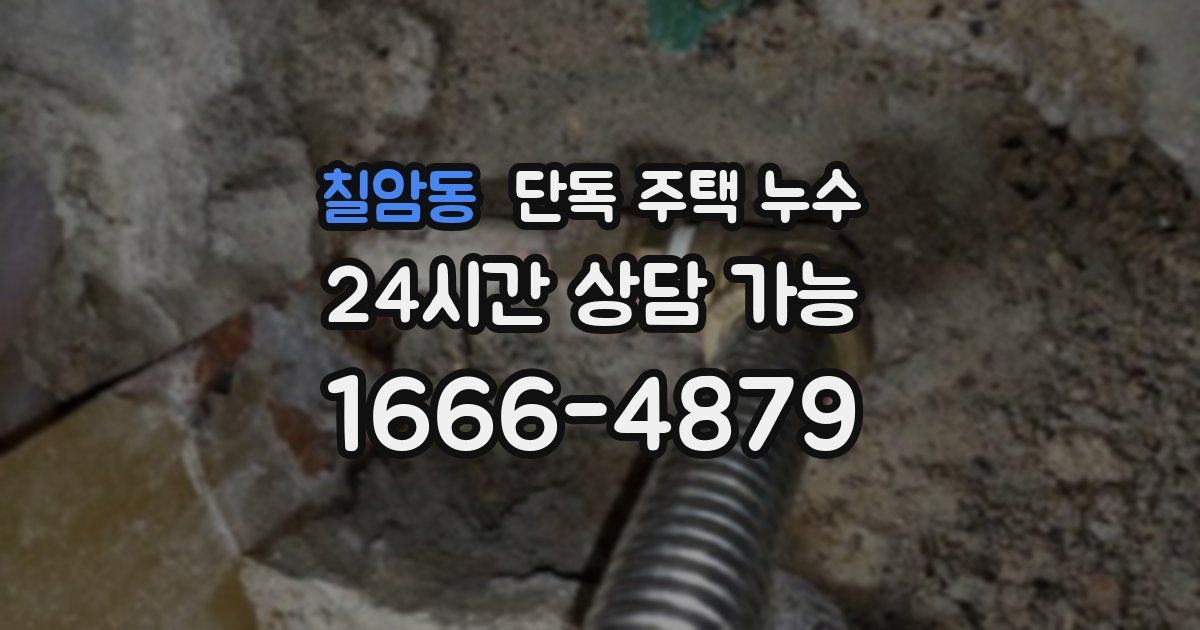 칠암동 단독 주택 누수