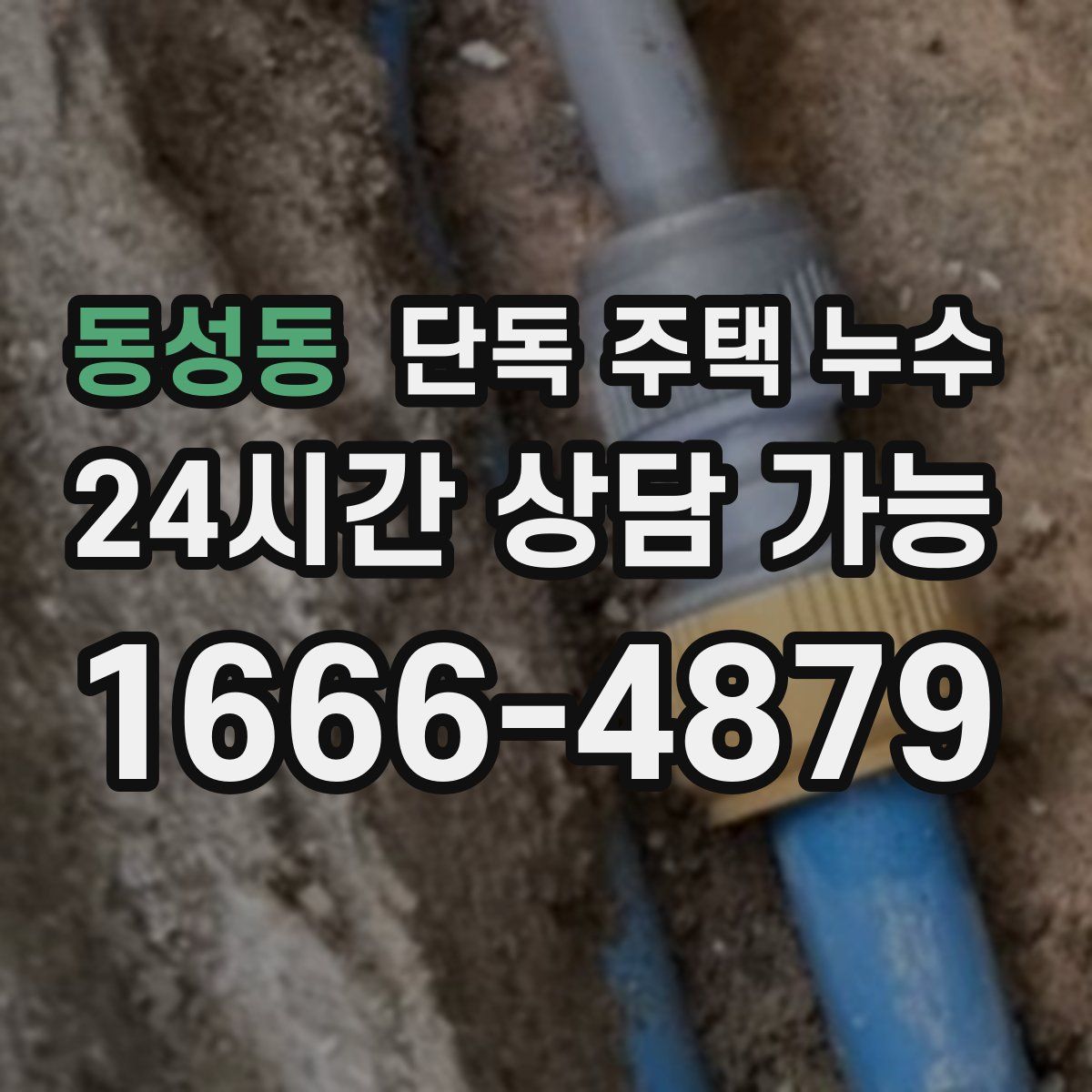 동성동 단독 주택 누수