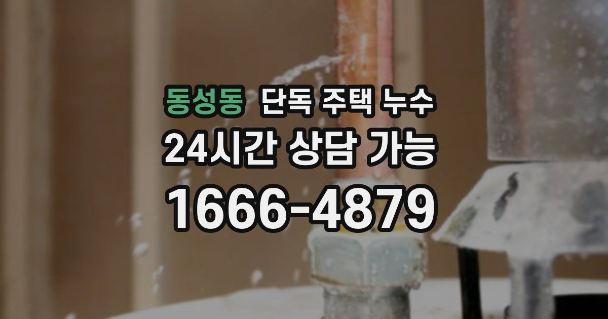 동성동 단독 주택 누수