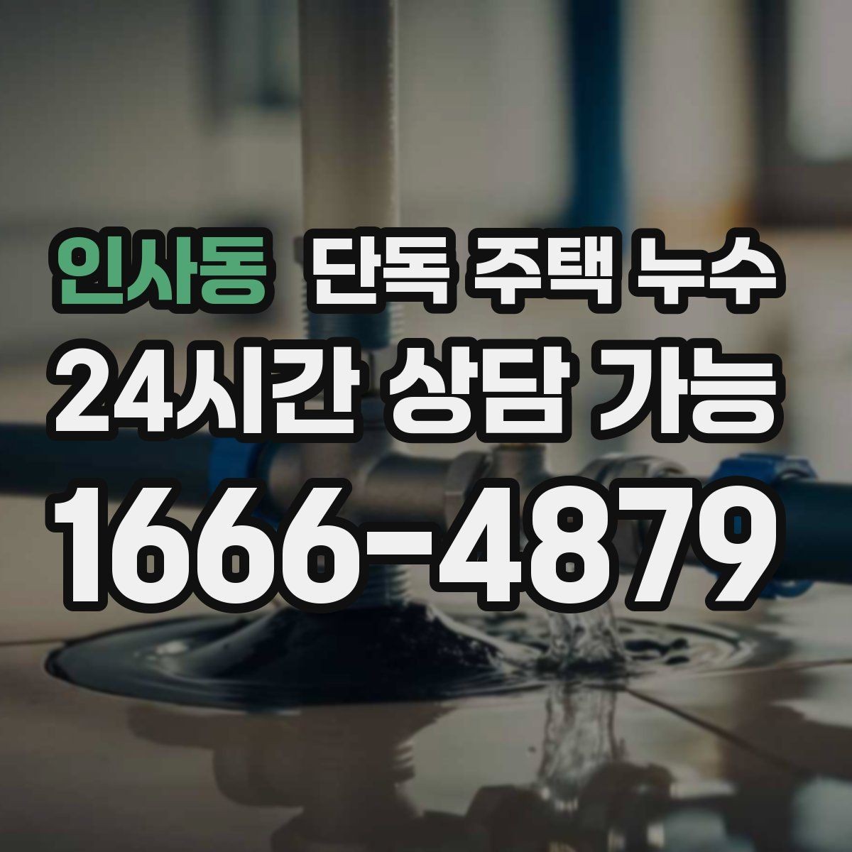 인사동 단독 주택 누수 마당 물이 집 쪽으로 모일 때 위험 신호