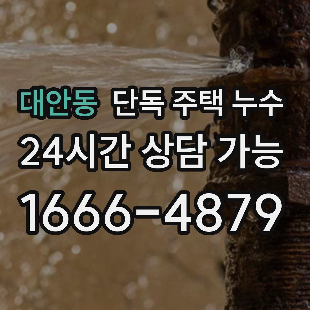 대안동 단독 주택 누수