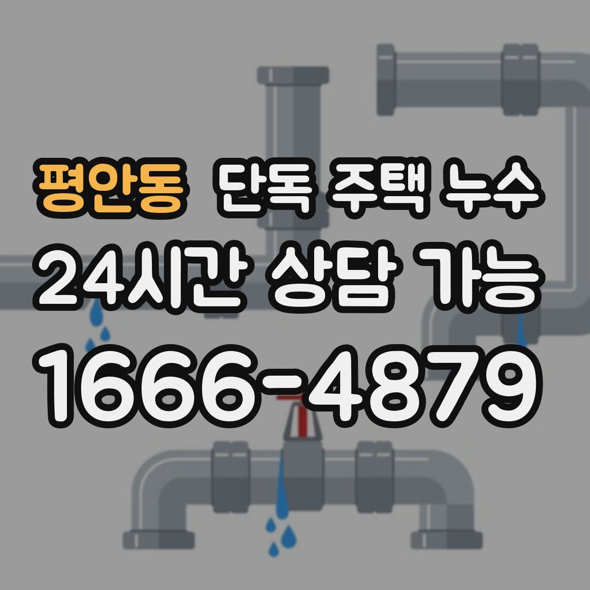 평안동 단독 주택 누수