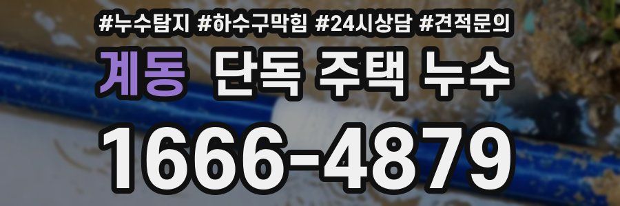 계동 단독 주택 누수