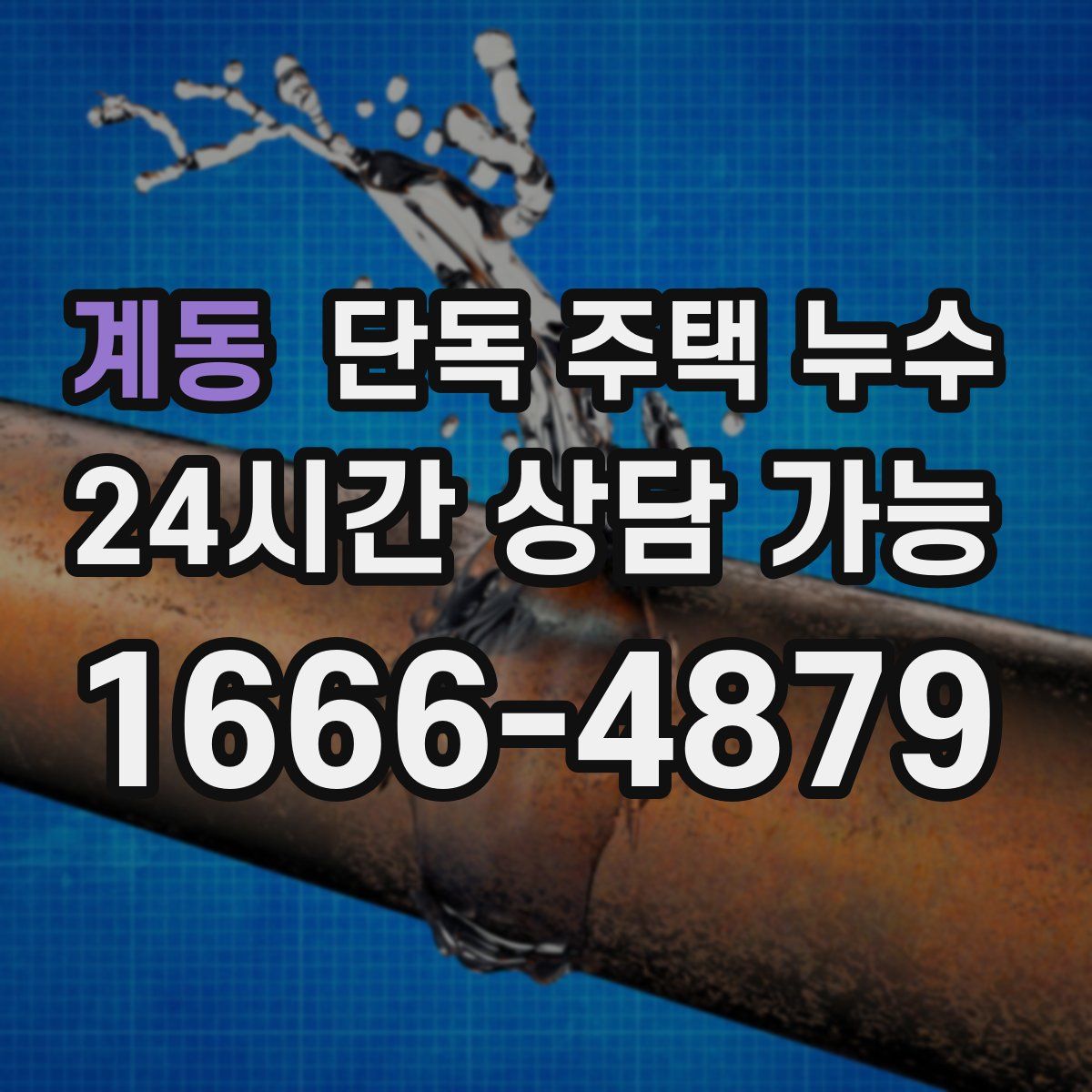 계동 단독 주택 누수