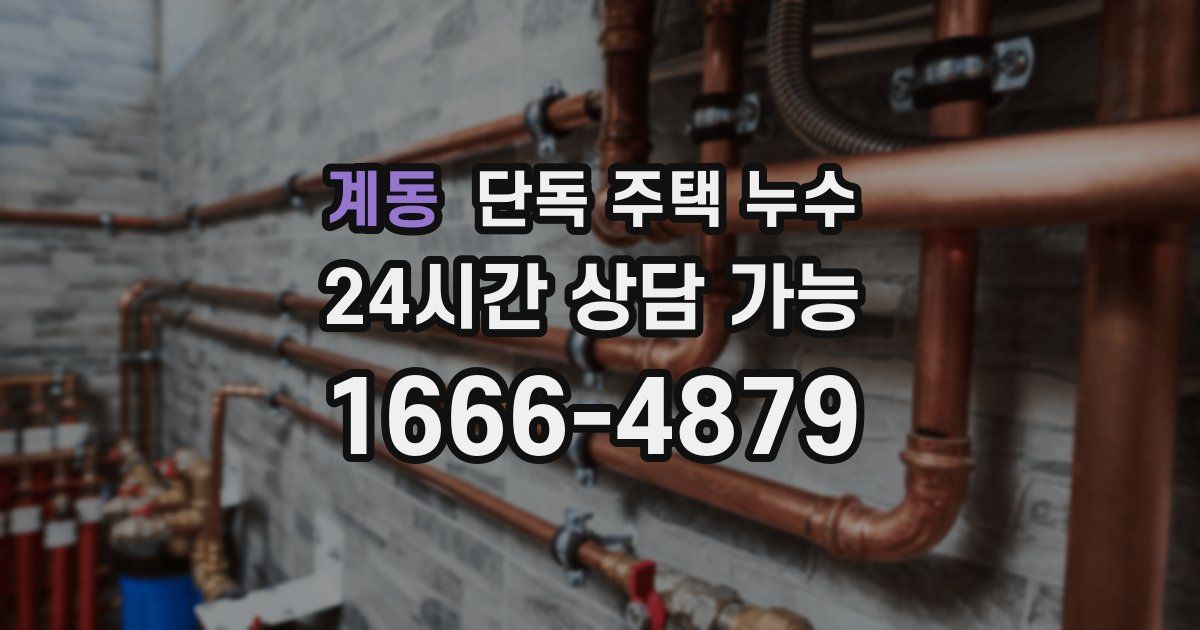 계동 단독 주택 누수