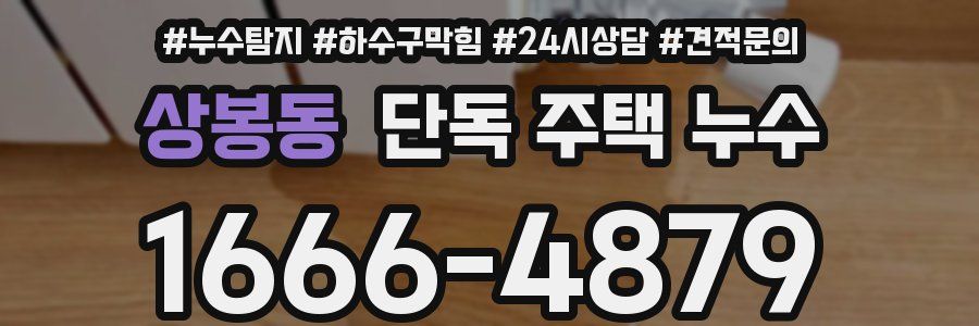 상봉동 단독 주택 누수