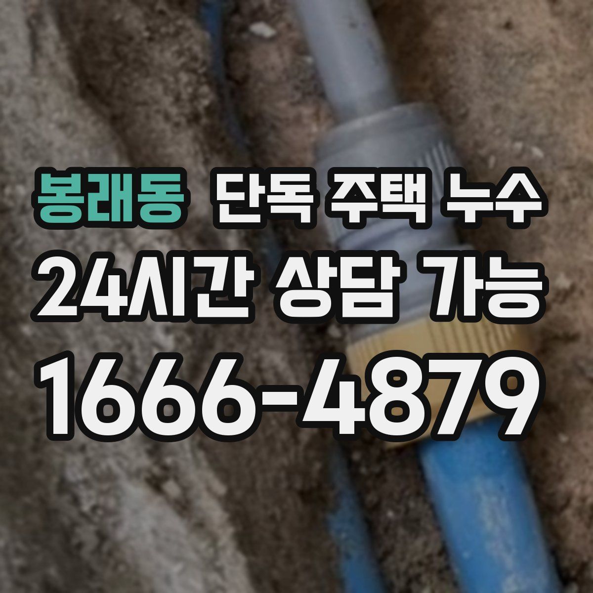 봉래동 단독 주택 누수