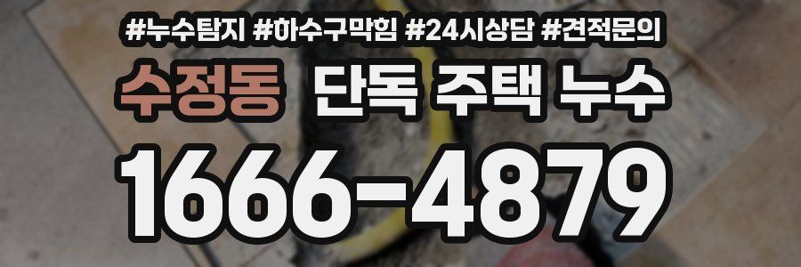 수정동 단독 주택 누수