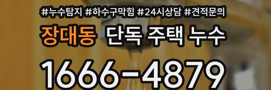 장대동 단독 주택 누수