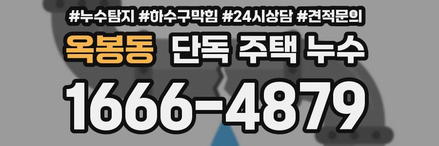 옥봉동 단독 주택 누수