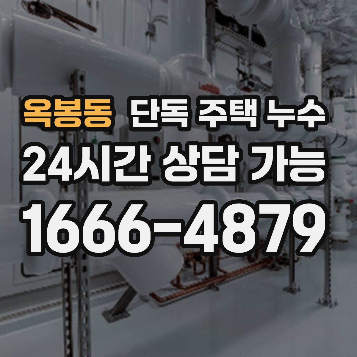 옥봉동 단독 주택 누수