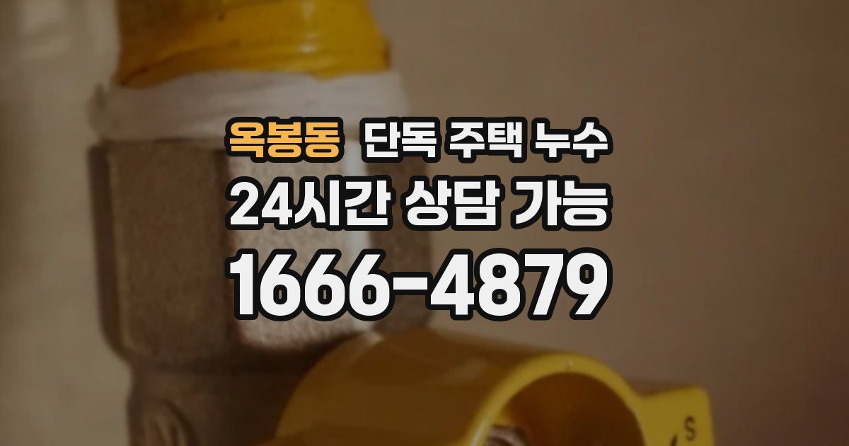 옥봉동 단독 주택 누수