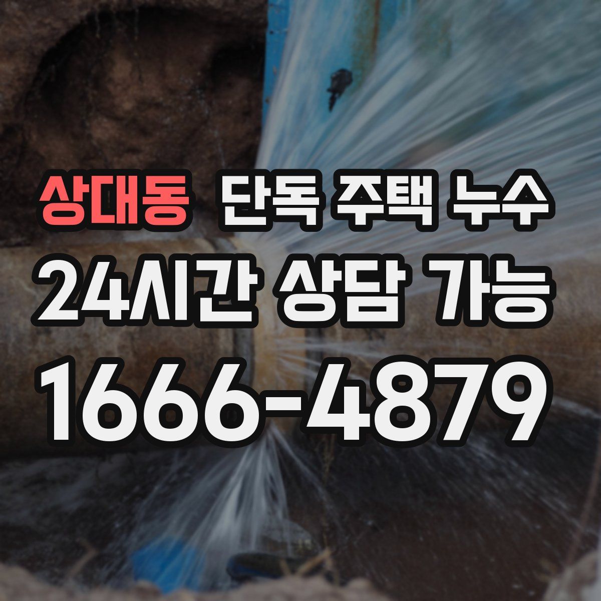 상대동 단독 주택 누수