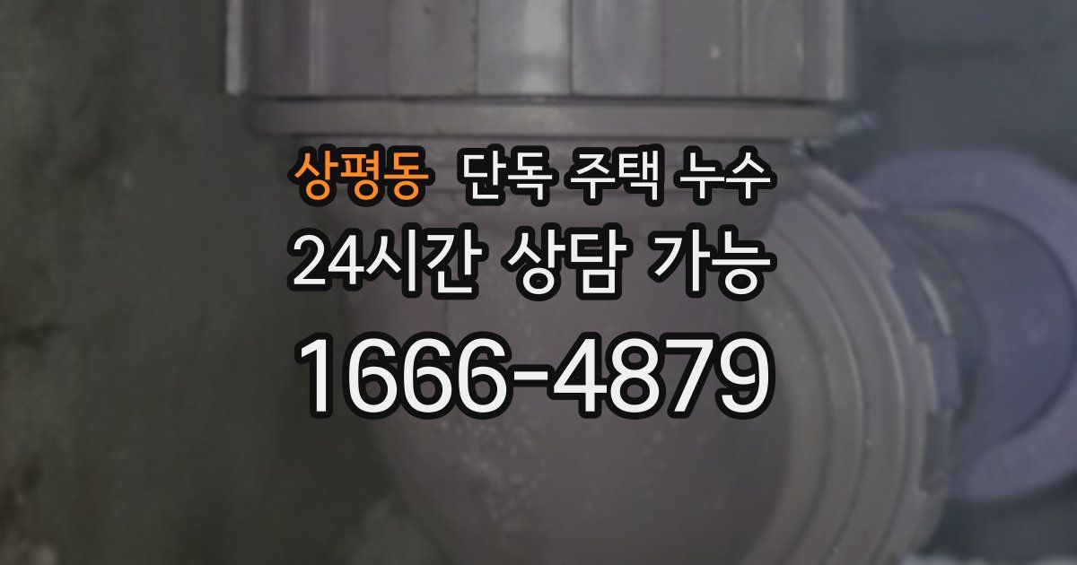 상평동 단독 주택 누수