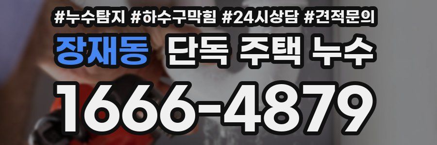 장재동 단독 주택 누수