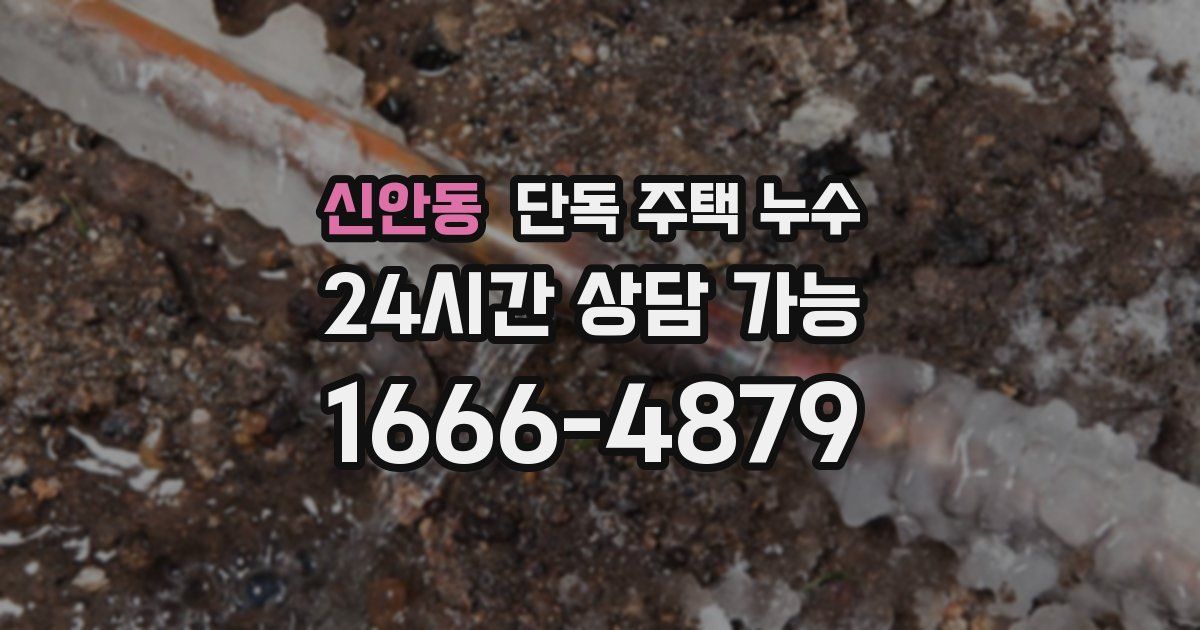 신안동 단독 주택 누수