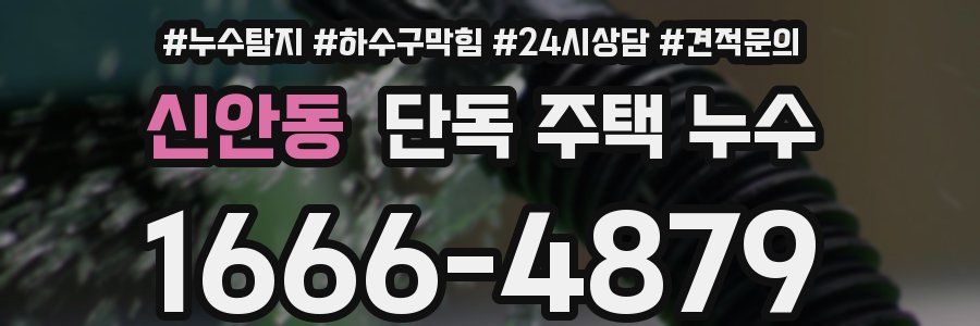 신안동 단독 주택 누수