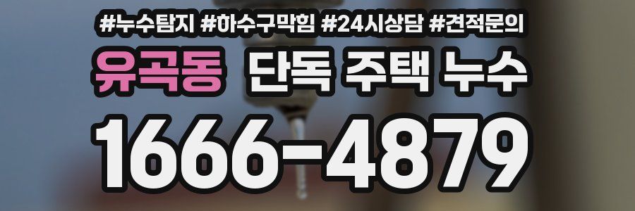 유곡동 단독 주택 누수