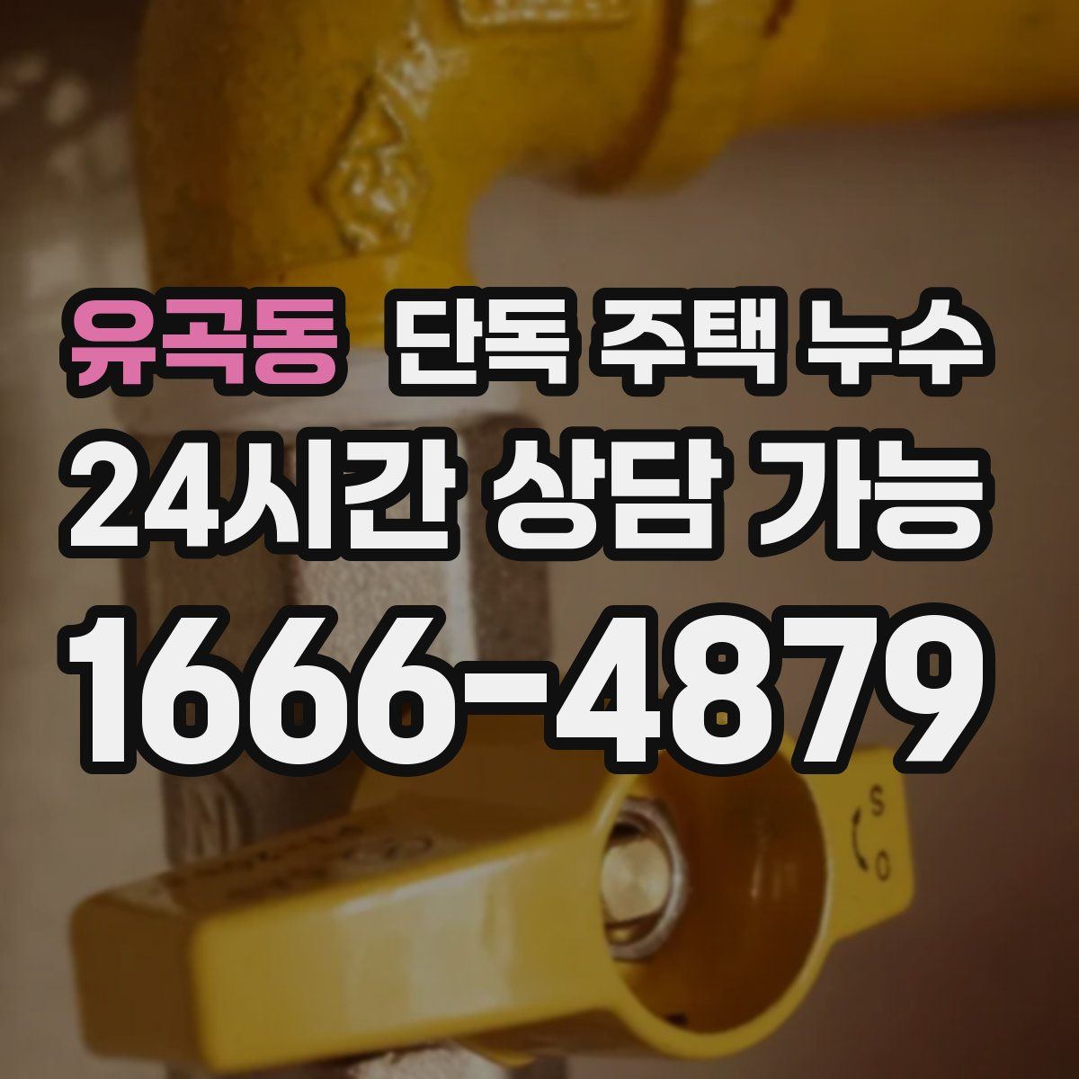 유곡동 단독 주택 누수