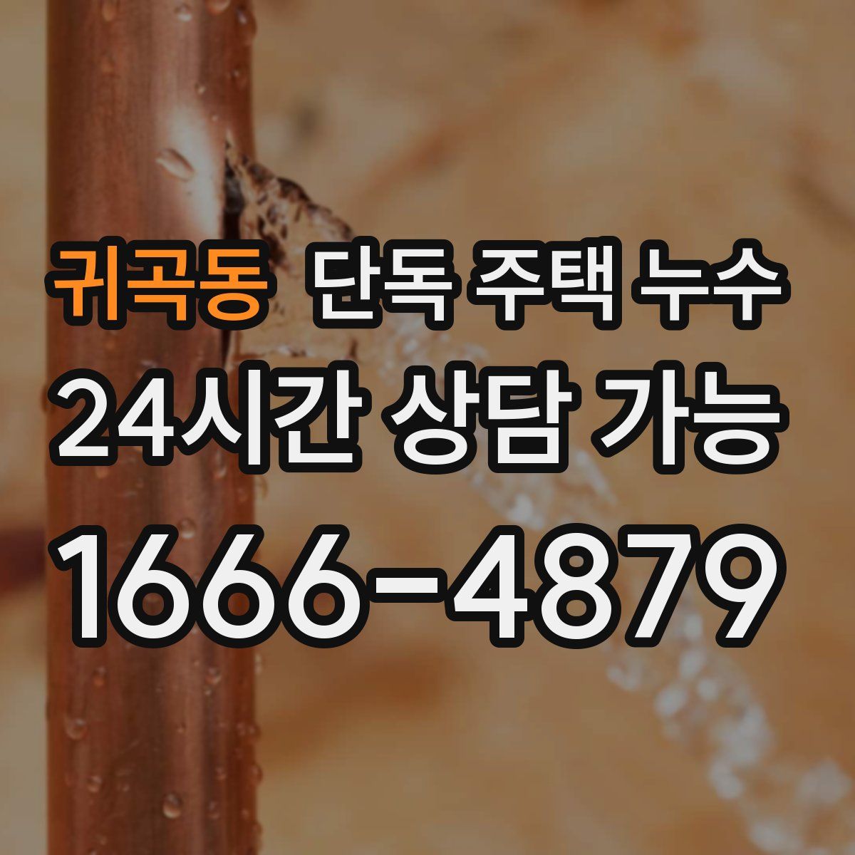 귀곡동 단독 주택 누수