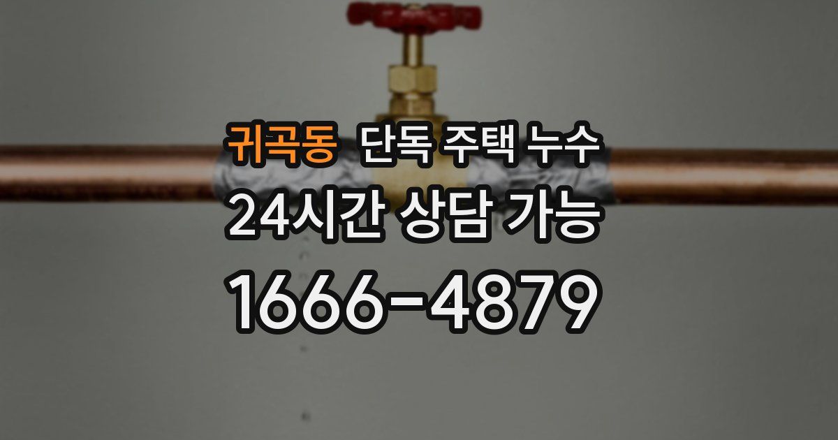 귀곡동 단독 주택 누수