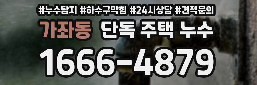 가좌동 단독 주택 누수