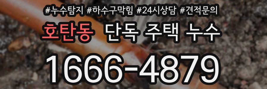 호탄동 단독 주택 누수