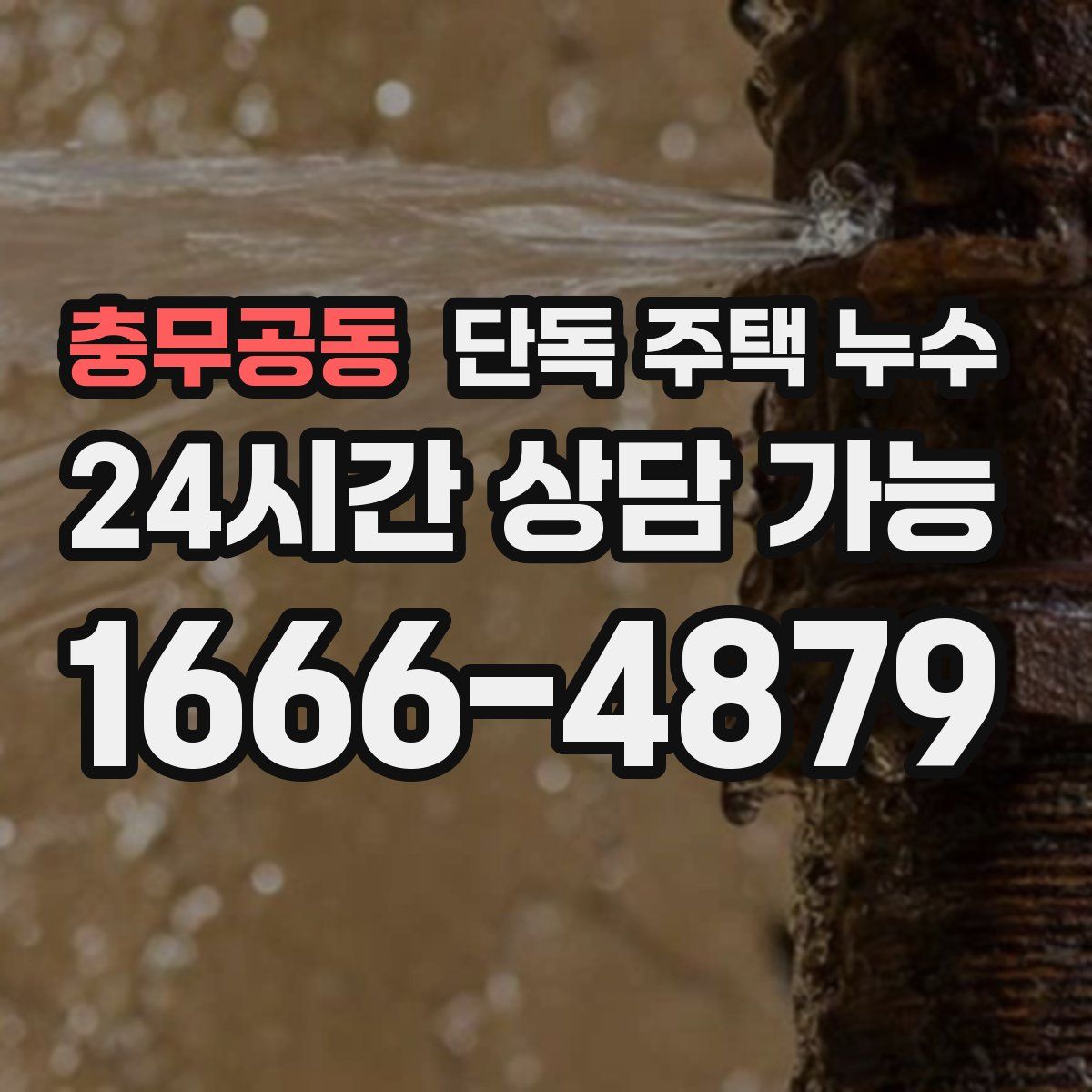 충무공동 단독 주택 누수