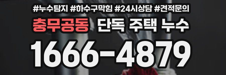 충무공동 단독 주택 누수