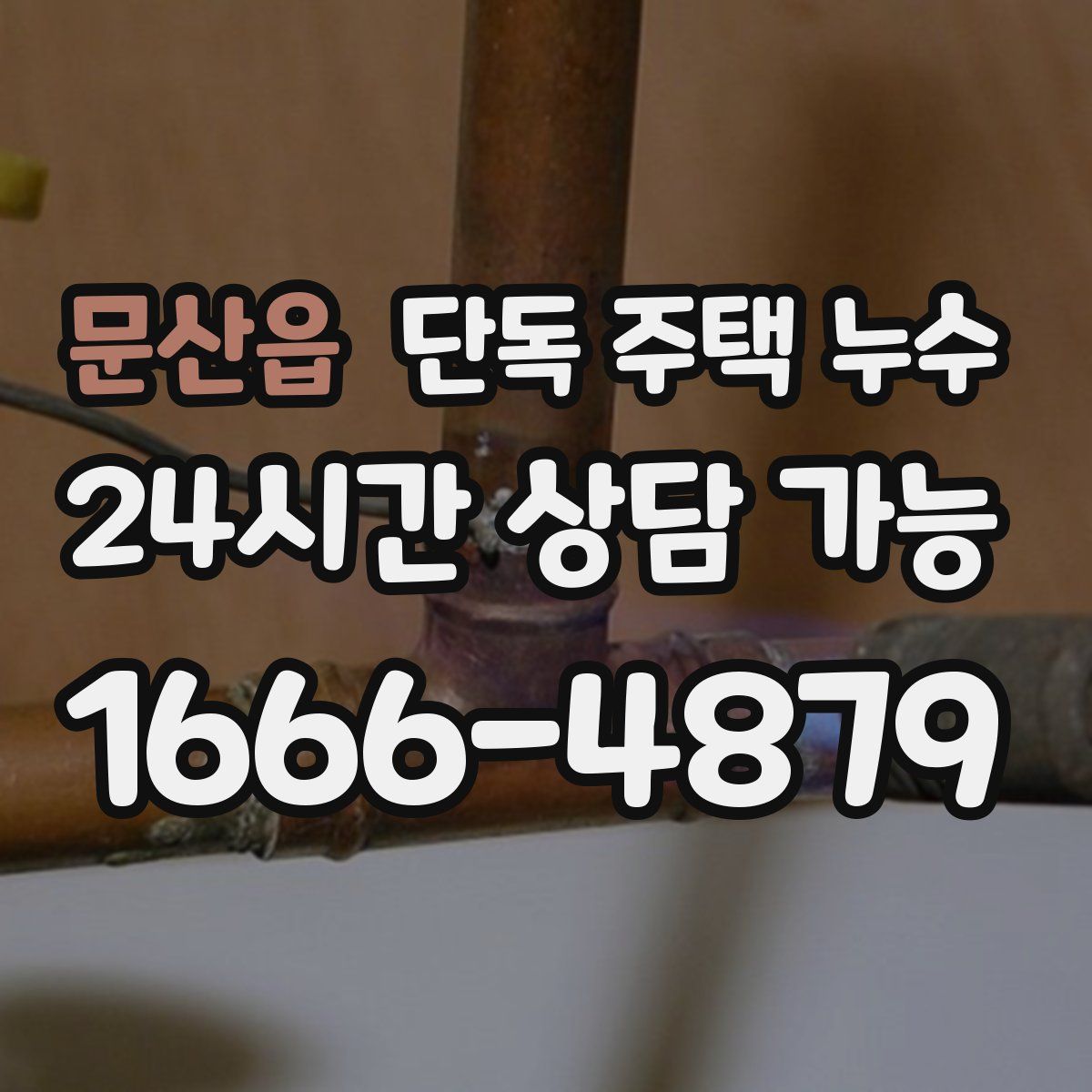 문산읍 단독 주택 누수