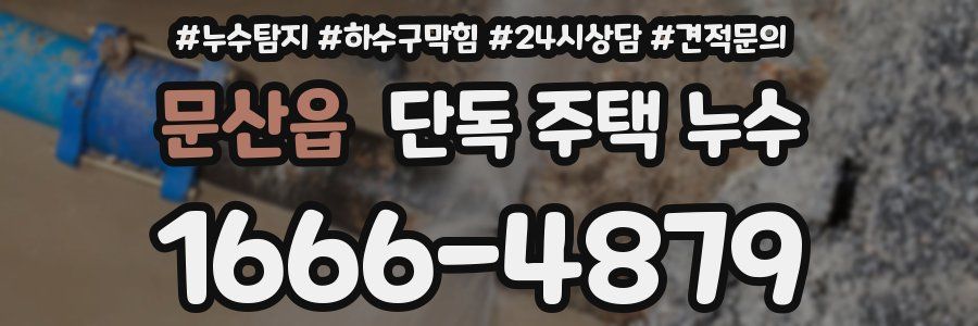 문산읍 단독 주택 누수