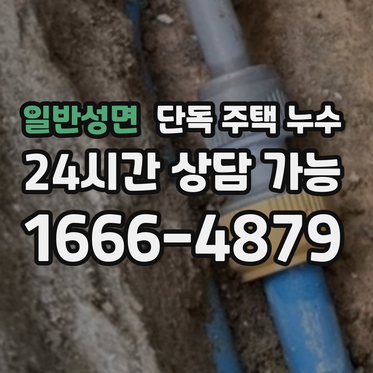 일반성면 단독 주택 누수