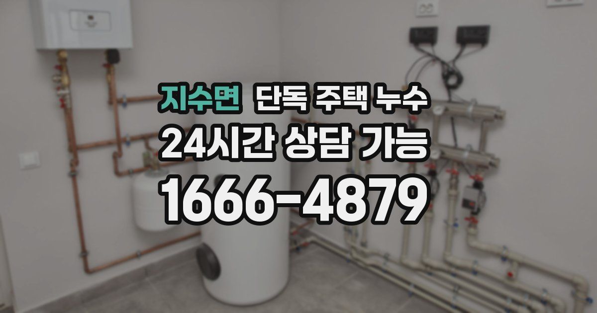 지수면 단독 주택 누수