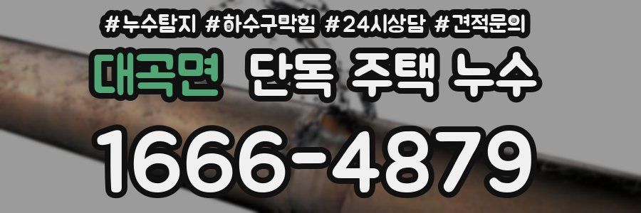 대곡면 단독 주택 누수