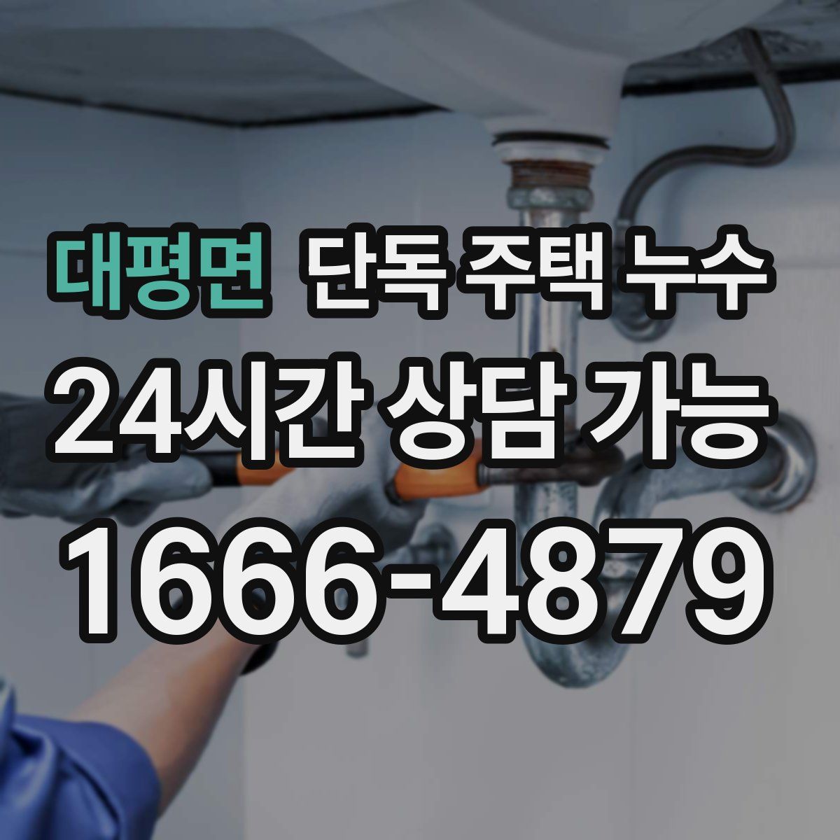 대평면 단독 주택 누수