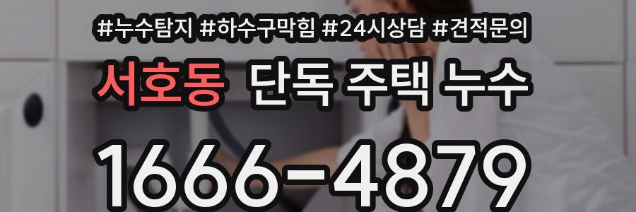 서호동 단독 주택 누수