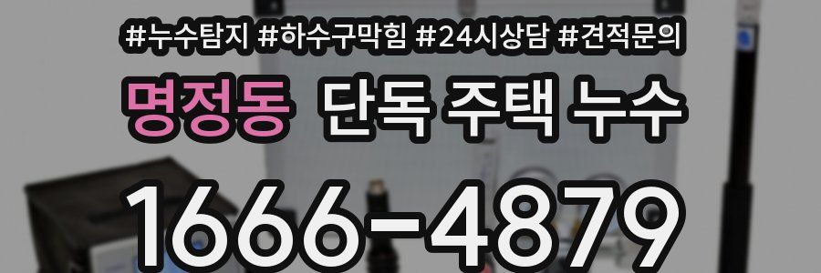 명정동 단독 주택 누수