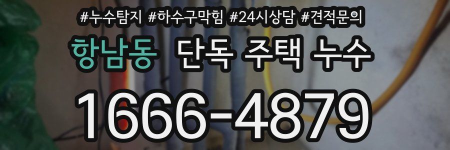 항남동 단독 주택 누수