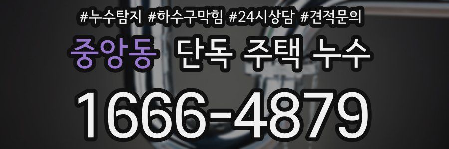 중앙동 단독 주택 누수