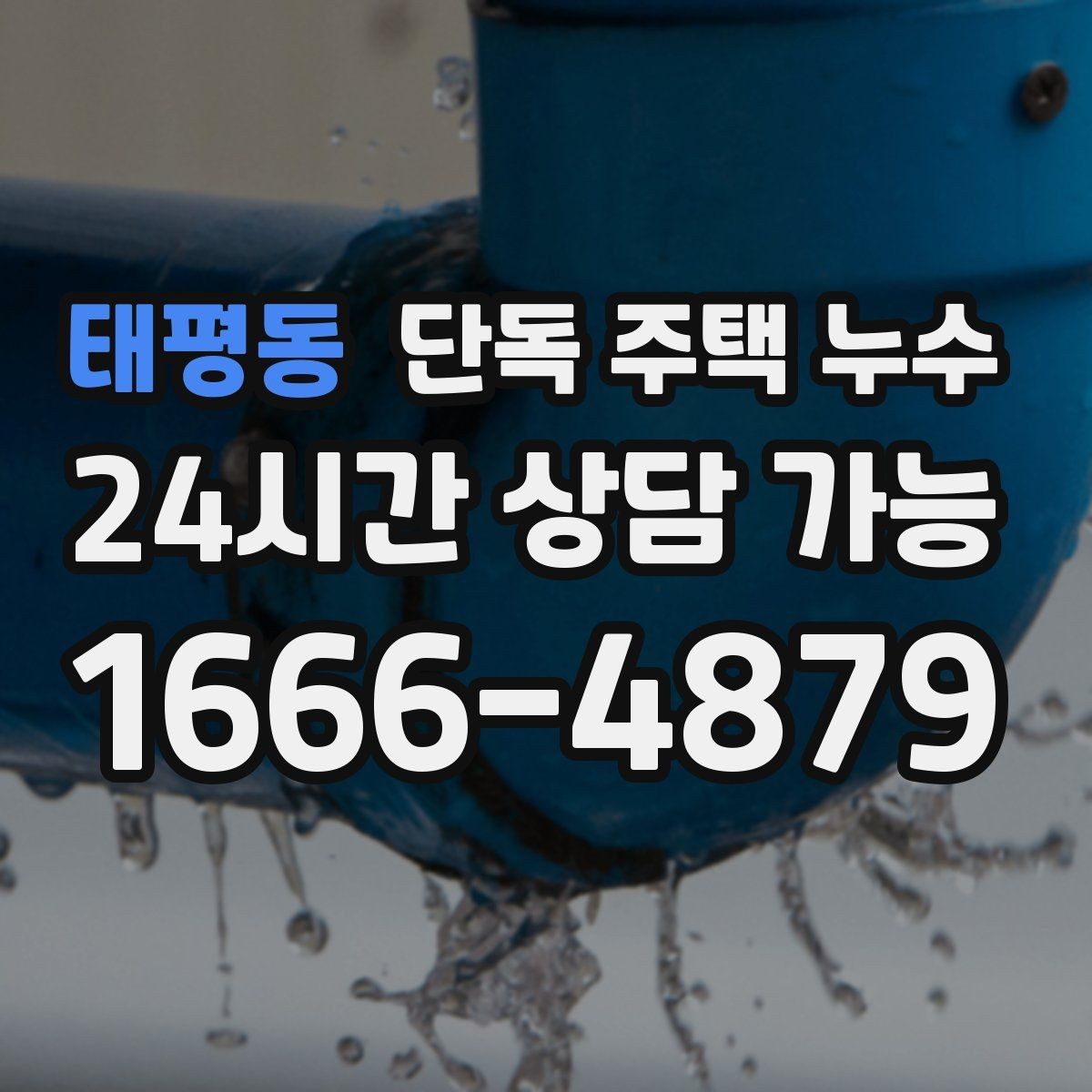 태평동 단독 주택 누수 홈통 막힘이 실내 누수로 이어지는 과정