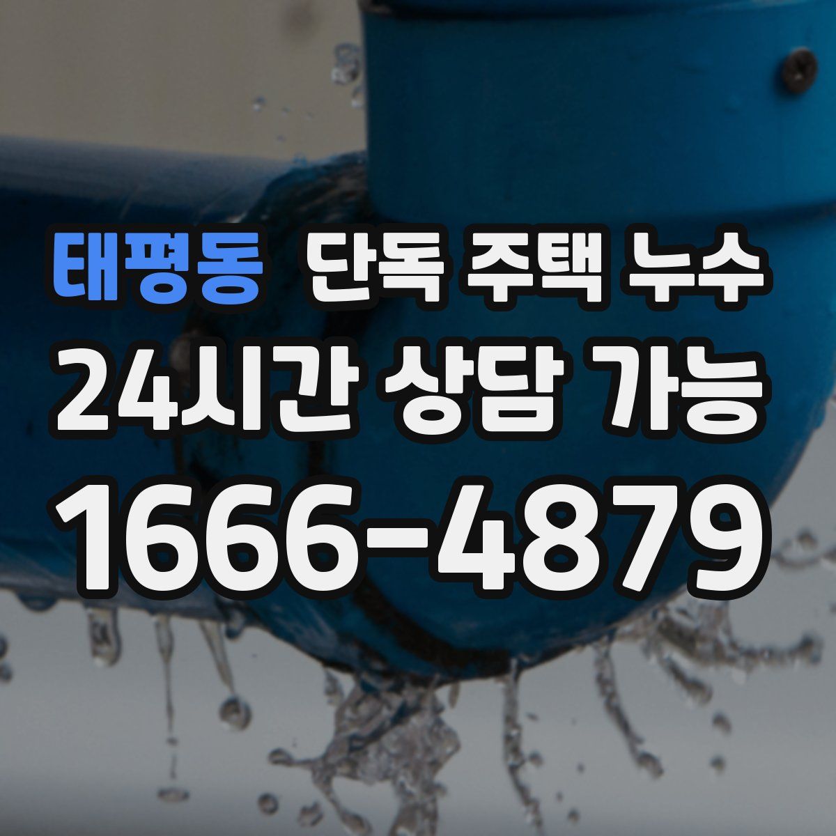 태평동 단독 주택 누수