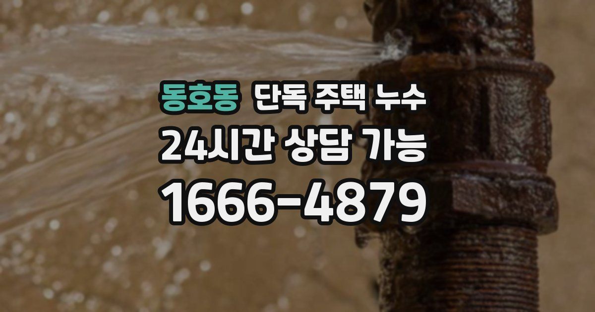 동호동 단독 주택 누수
